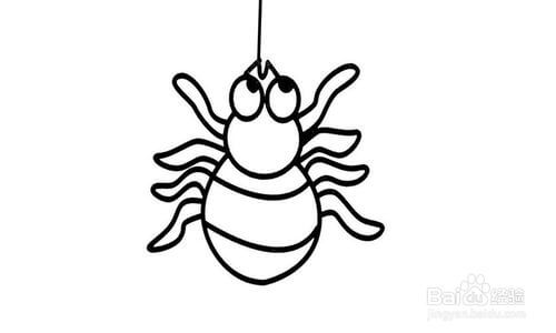 合理的网站结构更有利于搜索引擎蜘蛛的爬行