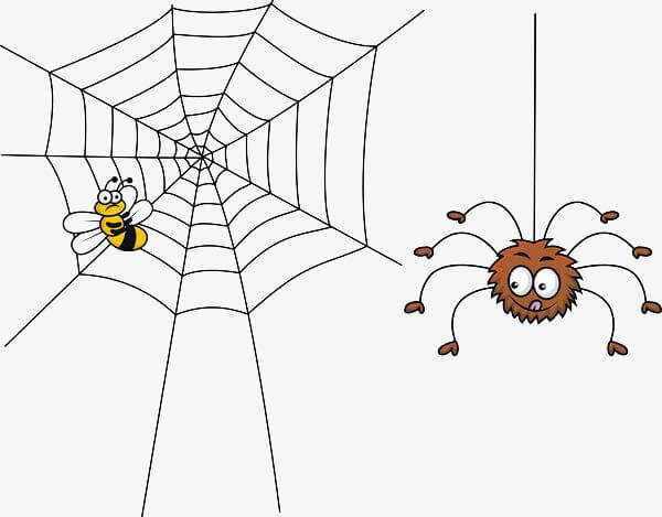 如何辨别百度的真假蜘蛛，避免将真蜘蛛当做假蜘蛛