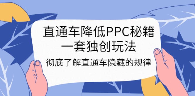 直通车降低PPC秘籍,一套独创玩法:彻底了解直通车隐藏的规律