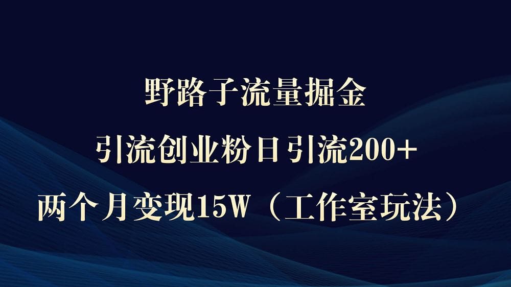 野路子流量掘金，引流创业粉日引流200十，两个月变现15W（工作室玩法））