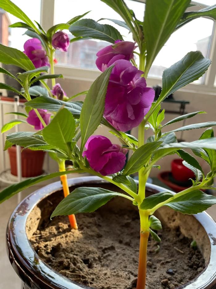 44岁二孩宝妈兼职指南：探索适合你的赚钱之路