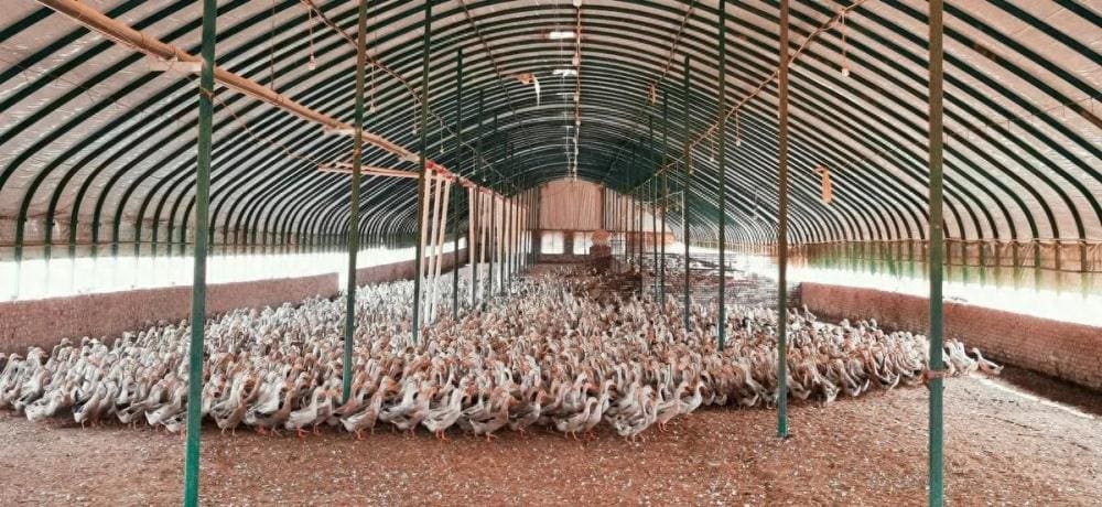 农村人在家也能赚钱！揭秘几个适合男女的生意项目，夫妻一起干更佳！