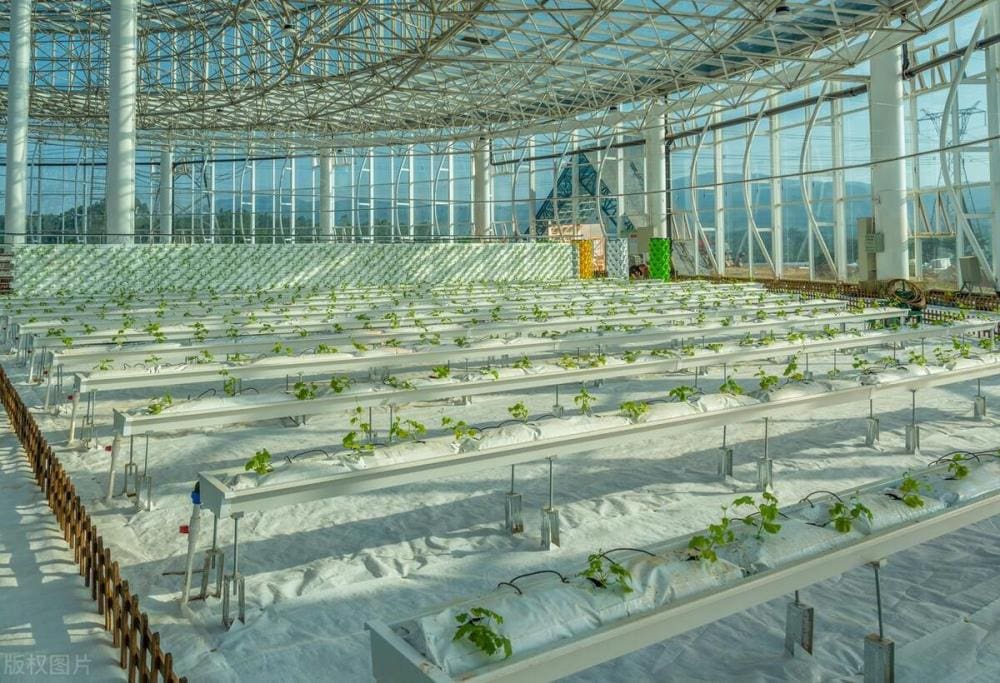 农村人在家也能赚钱！揭秘几个适合男女的生意项目，夫妻一起干更佳！