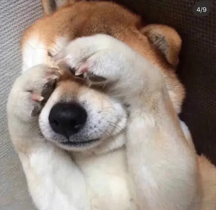 回顾往昔！那些年我们做过的点赞、投票、码字兼职，满满都是青春的记忆与收获！