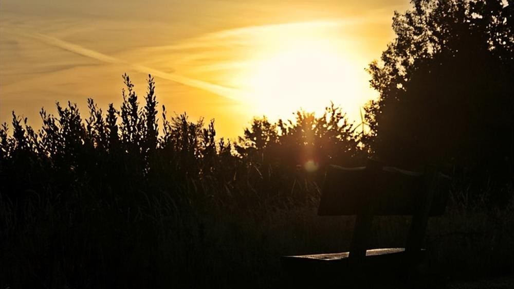 财富倍增术!掌握这3种闷声发大财的方法,任何一种都能让你走上人生巅峰!