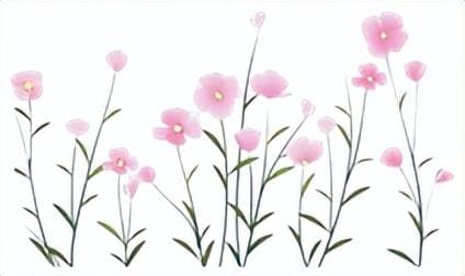 55岁大妈逆袭记！秘密副业月入五千，还助力同龄老人共赴财富之旅！