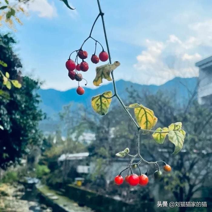 05.生活类阿姨（类似保姆，但没有保姆累）_五六十岁退休女神的财富秘籍：五大黄金职业，轻松赚外快，优雅享生活！