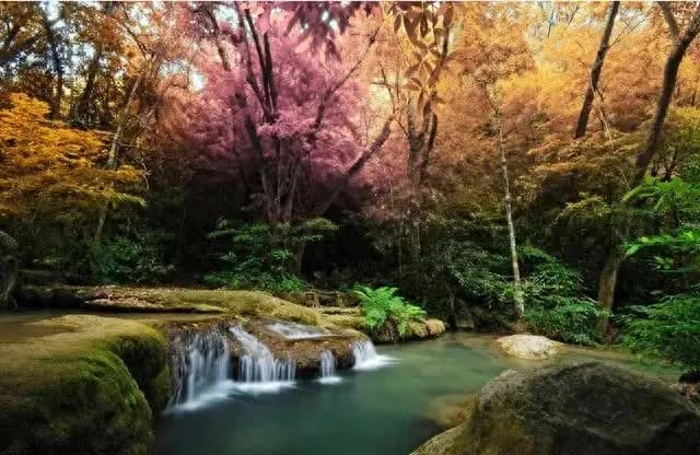 揭秘!这个日常小物竟成赚钱神器,惊呆所有人,你绝不能错过的秘密!