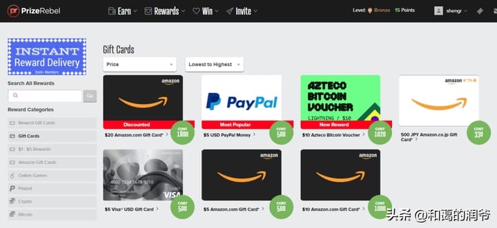4. PrizeRebel_美金轻松入袋！揭秘海外超火在线赚钱平台，让你的零花钱翻倍增长！