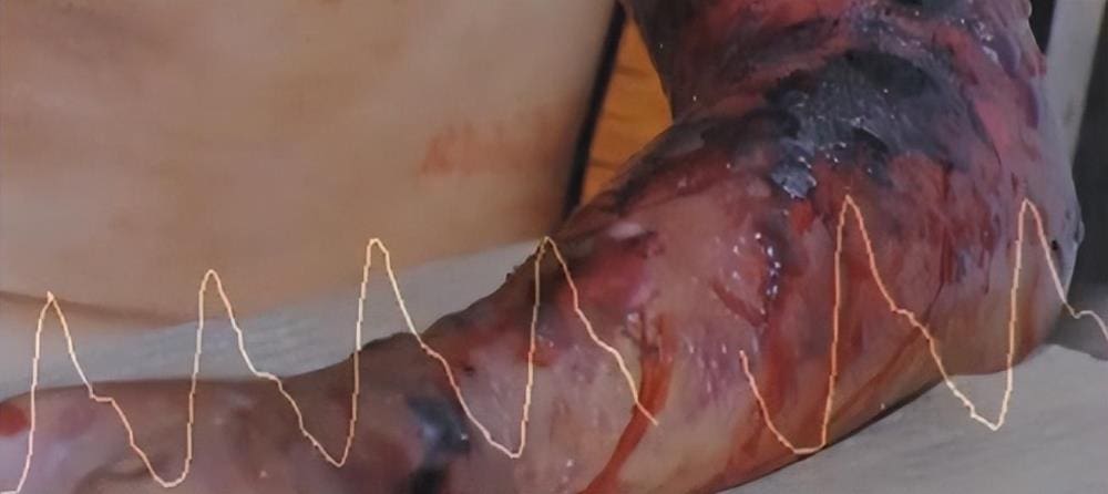 出事了！_蛇中高手！江西六旬老人驯蛇如子，独门绝技年赚千万，传奇故事震撼人心！