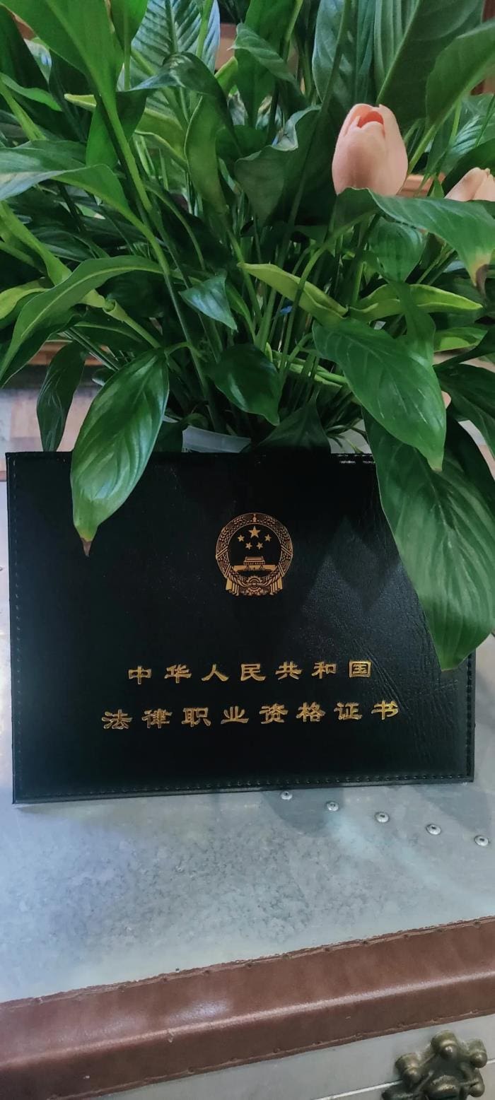 励志传奇！90后单亲宝妈：带娃工作两不误，2023年法考A证荣耀加冕！