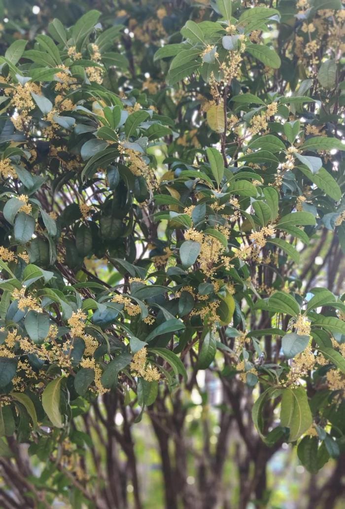 30+宝妈必看!考证书还有必要吗?解锁职场新机遇!