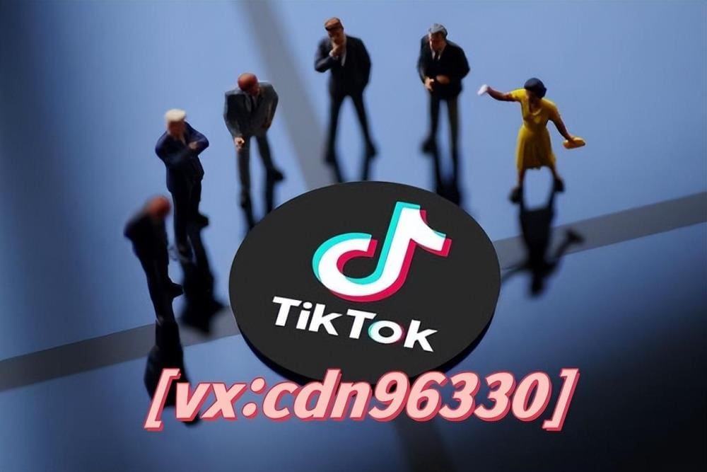 TikTok公会项目好做吗？不懂当地外语如何沟通？揭秘跨境运营秘诀！