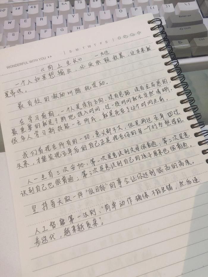 打字族的春天：抄书打卡第14天，坚持的力量！