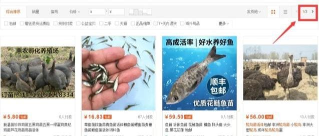 大学生必看！日入六七十元的线上兼职，轻松赚钱不是梦！