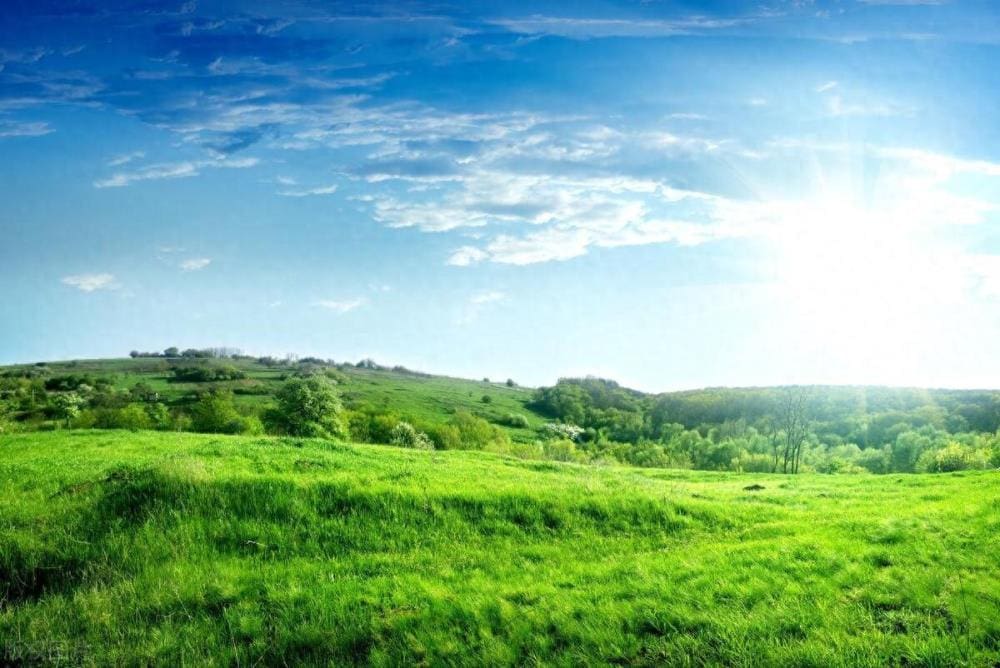 日入300很难吗？只需花20小时，轻松实现财富自由！