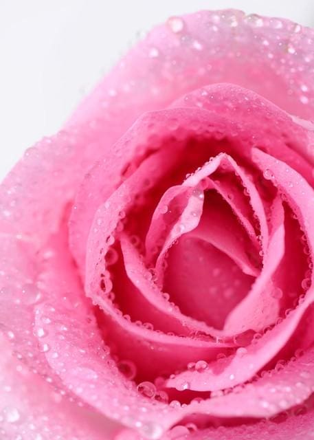 从零启航：打造一份成功的创业计划，助你开启商业新篇章！