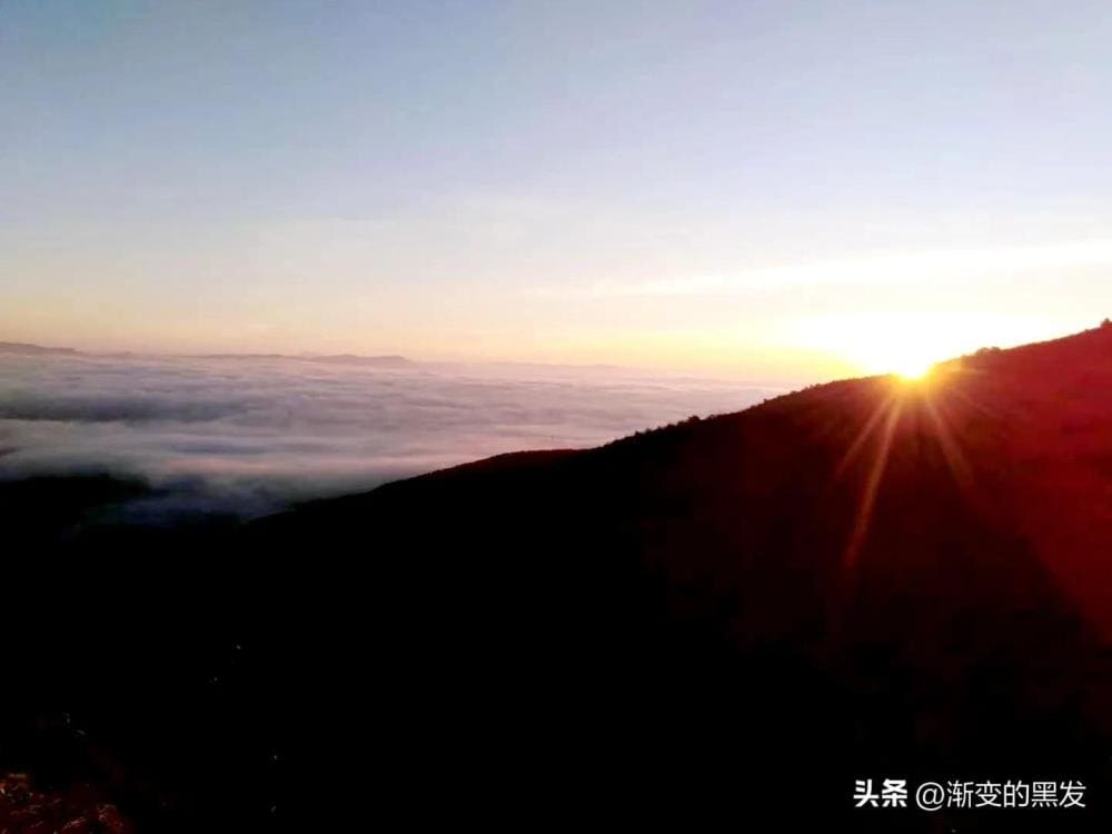 头条赚钱秘籍大公开！狠下心来，让你的内容成为财富源泉！