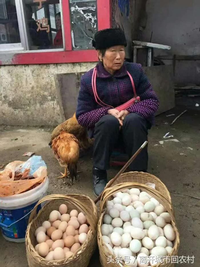 惊爆！21岁小艾创新营销，会员卡+鸡蛋新玩法，一月狂揽百万财富！