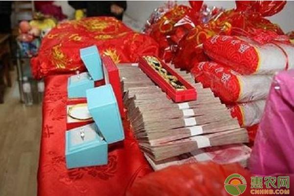 农村财富新蓝海！揭秘三大前景无限商机，让你轻松踏上赚钱快车道！