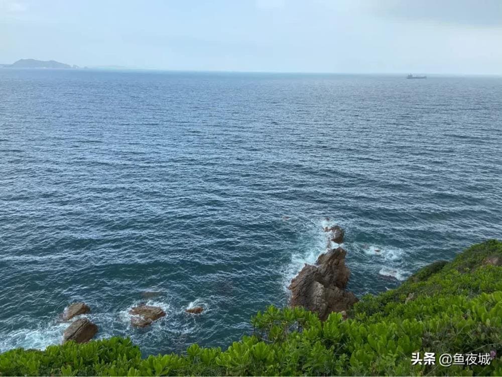 揭秘！六大收益爆棚的自媒体平台，轻松变现，让你的创作价值最大化！