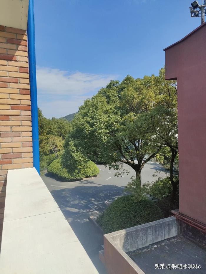 解锁财富密码！100种超实用赚钱方式大公开，总有一款适合你！