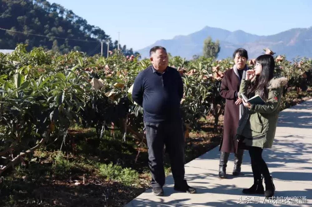 梦想无界，65岁老人豪掷300万，归园田居创辉煌事业，震撼人心！