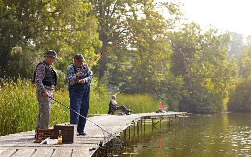 老龄化社会新蓝海！普通人抓住机遇，这些生意让你赚得盆满钵满！