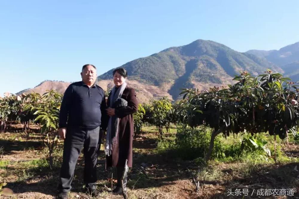 壮志凌云！65岁老人斥资300万，田园再创业，书写晚年新篇章！