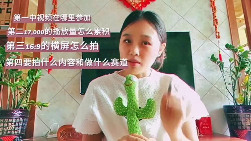 播放量也能挣钱？六大问题全面解析，中视频入门教程助你轻松掌握赚钱秘籍！