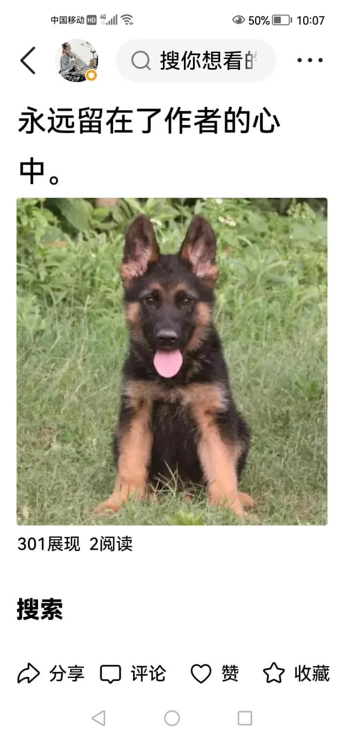 微头条首份收益来袭，你开心了吗？# 一分耕耘一分收获，见证成长每一步！