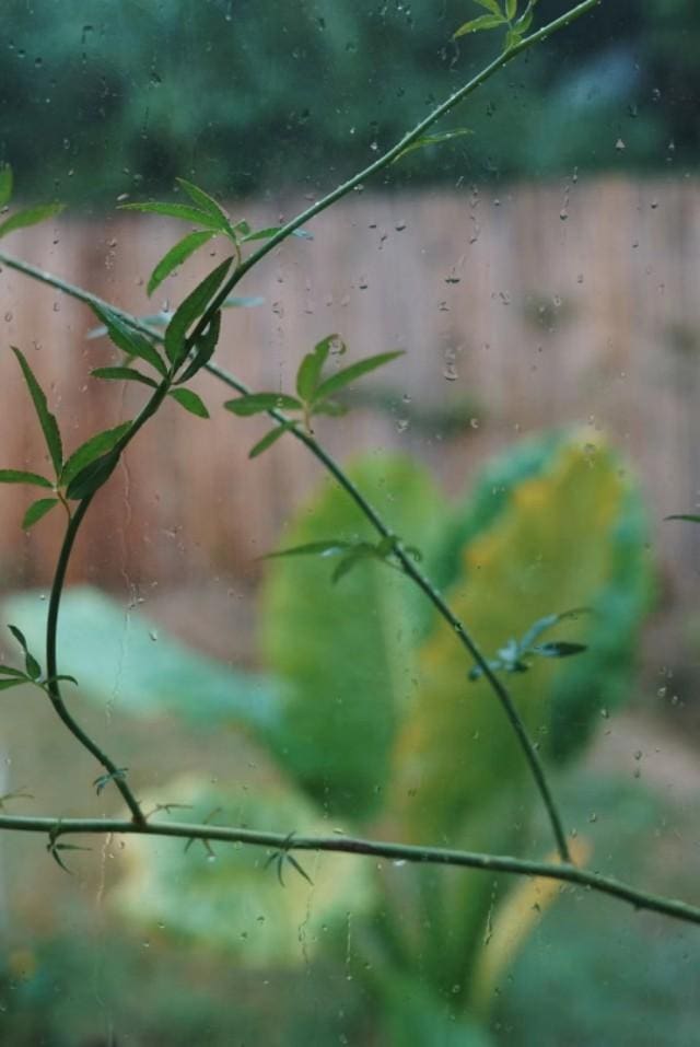 揭秘‘睡后’收入秘籍！了解这7个平台渠道，你也能轻松实现赚钱梦想！