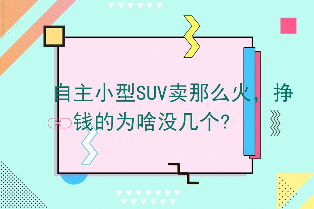 揭秘！自主小型SUV热销背后的真相，为何赚钱者寥寥无几？