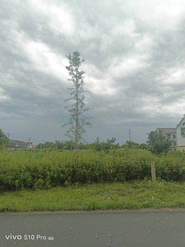 头条赚钱攻略：揭秘在头条上如何轻松赚钱，你不可错过的赚钱秘籍！