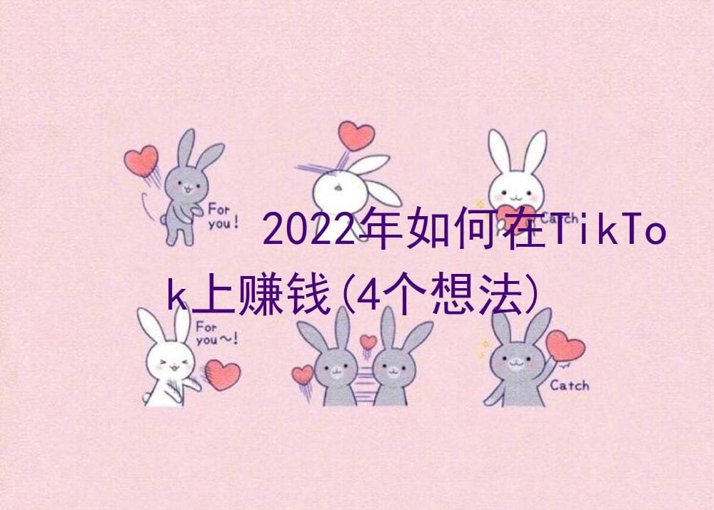 2022年TikTok赚钱攻略：揭秘4大创新想法，助你轻松实现盈利！