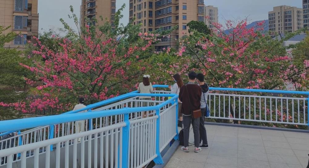 头条赚钱秘籍大公开！掌握这7种增收方式，让你的收入飙升！