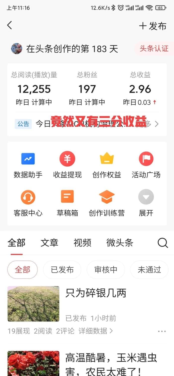 创作大师专属！闪耀登场‘创作大师挂件’，让你的作品瞬间提升格调！