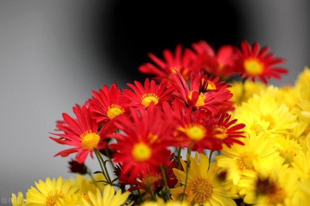 自媒体成功之道：坚守原创，少走弯路，打造长久影响力，让你的创作之路更加辉煌！