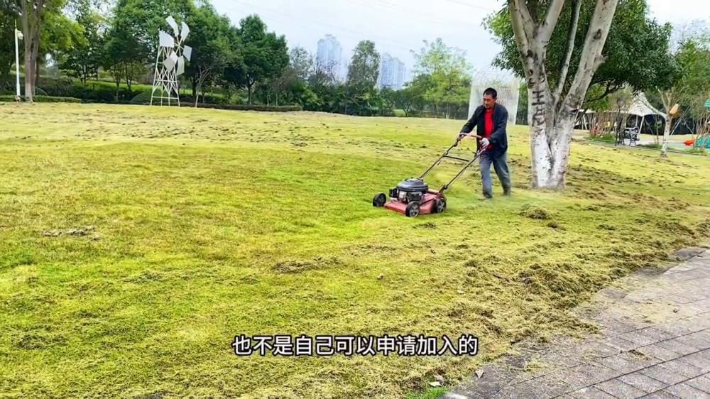 解锁萌芽补贴秘籍！#如何轻松加入中视频计划，让你的创作价值飙升！