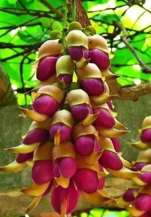 ‬人生路上，每一段经历，都是一场修行，更是一次成长。漫步风雨人生路，畅吟沧桑岁月诗，只有经历后才觉得，那些陪伴在我们身边的人，才是我们值得去珍惜的人。_微头条新纪元！揭秘高效撰写法则，让你的每一条都直击人心！