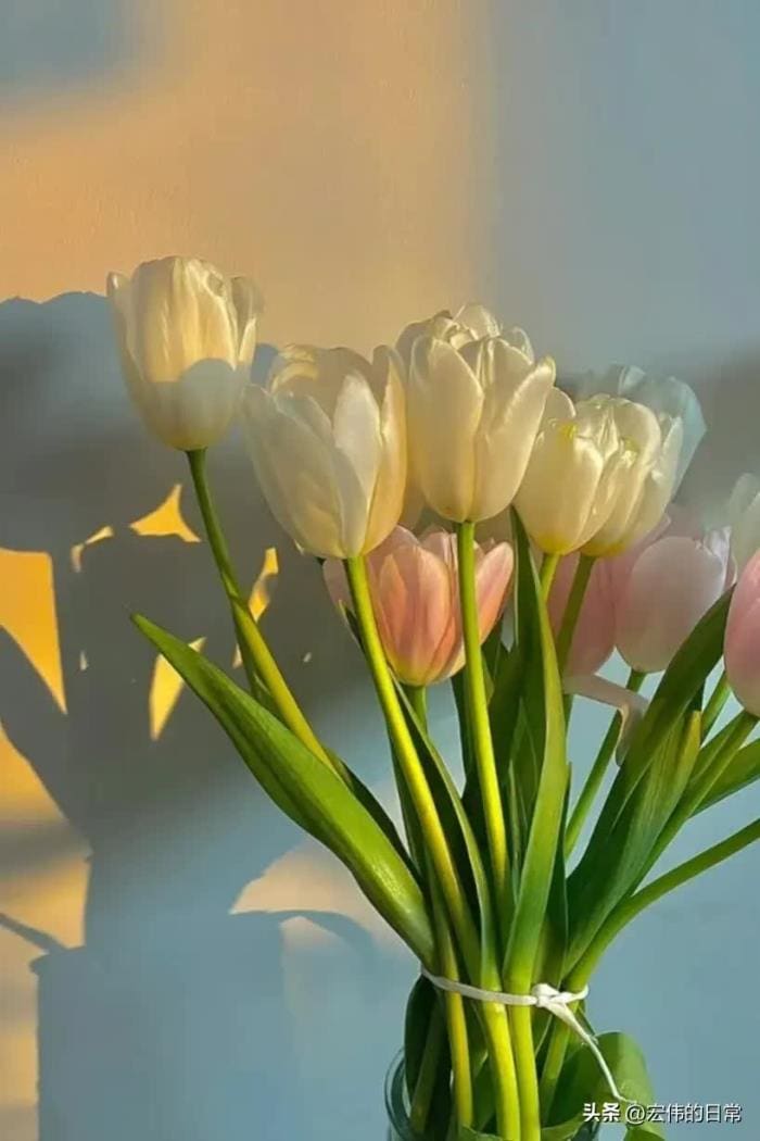 头条创作素材不再愁！掌握这些方法，天天都有新鲜灵感，告别素材荒！