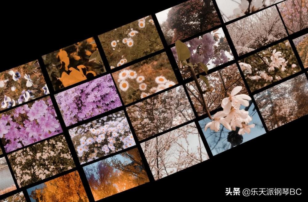 头条创作无素材？别担心，这里有你的灵感救星！