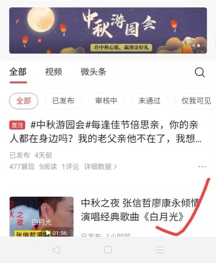 揭秘！31万播放量视频背后的收益真相，今天我就为你揭开这层神秘面纱！