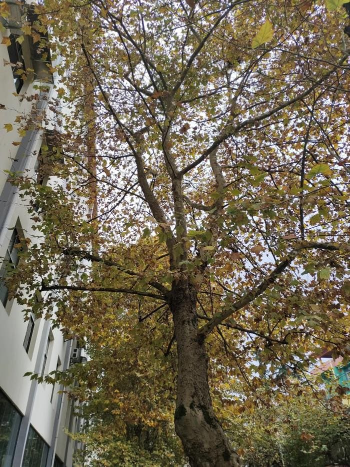 揭秘！文章发布赚钱秘籍，掌握这些方法让你的文字秒变财富源泉！