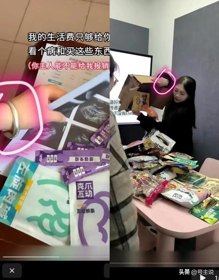 独家揭秘！云南文化公司66666元悬赏找猫，背后真相令人咋舌：这钱花得值吗？