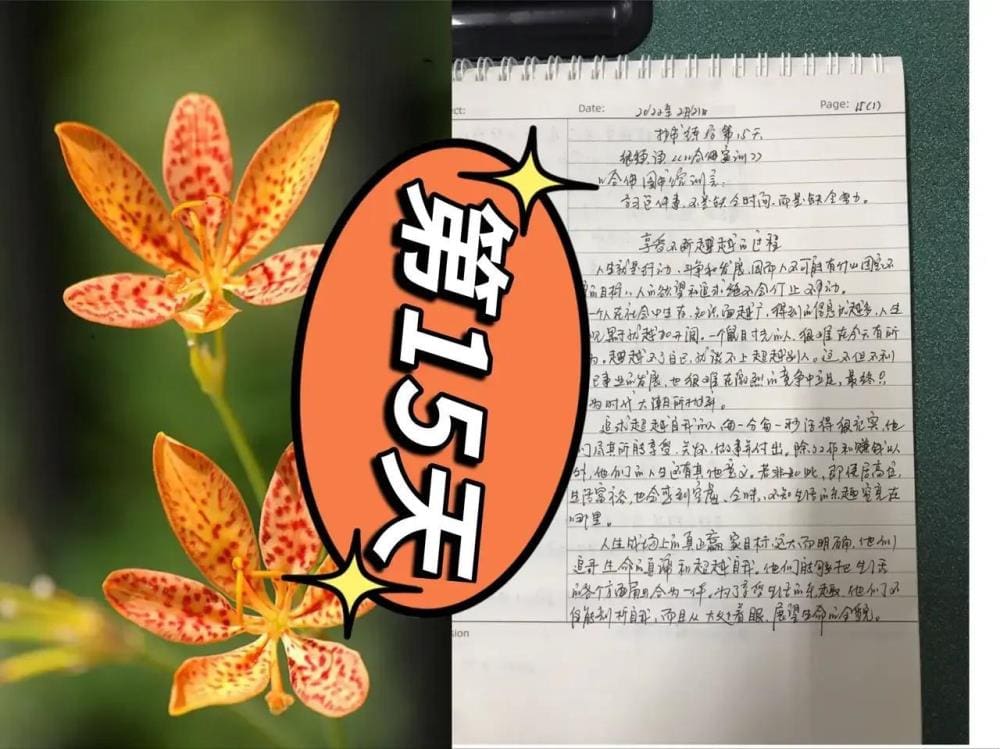 31天坚守，我终破茧成蝶！坚持的力量，让梦想照进现实，每一刻都值得骄傲！