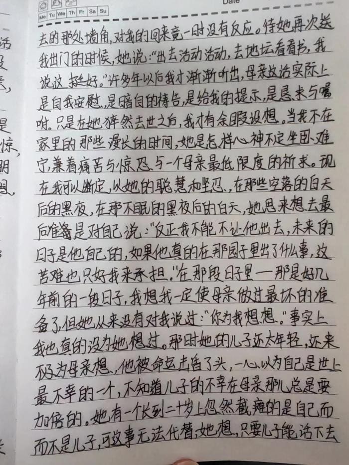 抄书第四天：将任务化为乐趣，以笔为伴，书写自我成长的精彩篇章！