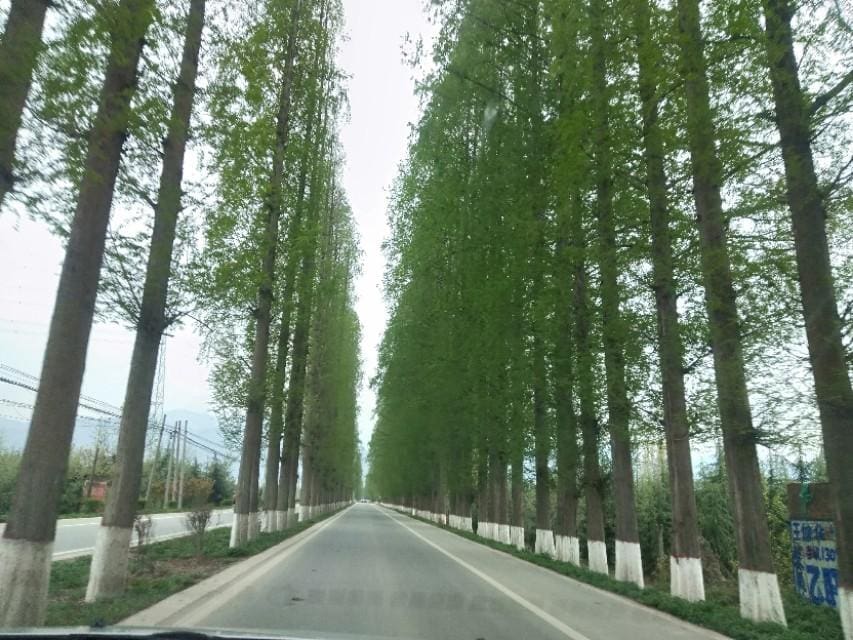 搬运小时工也可以兼职（943）_兼职新选择！搬运小时工，灵活赚钱两不误！