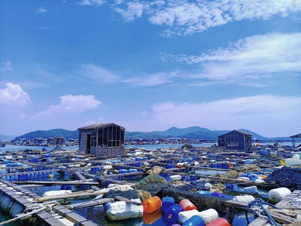 2023年8月辉煌战绩！公众号流量主成功开通，首笔稿费收入囊中，自媒体之路再添璀璨篇章！