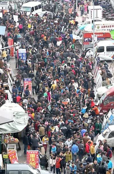揭秘头条！劳务市场大神藏龙卧虎，你遇到过哪些不凡的‘打工人’传奇？